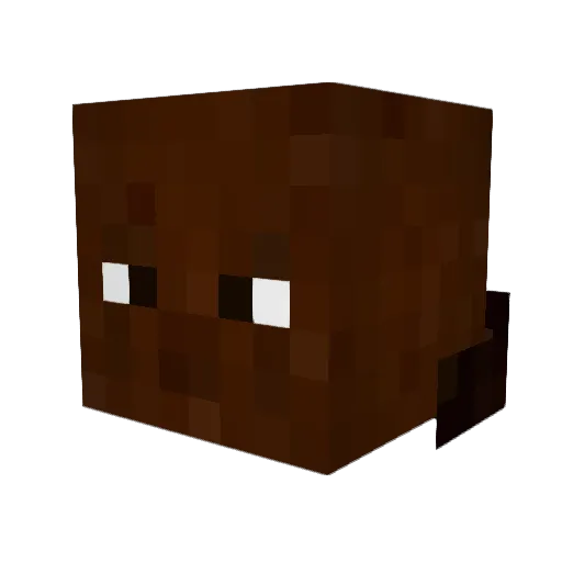 Xollog Minecraft avatar head, 3D render