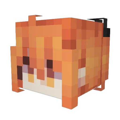 XonaShera Minecraft avatar head, 3D render