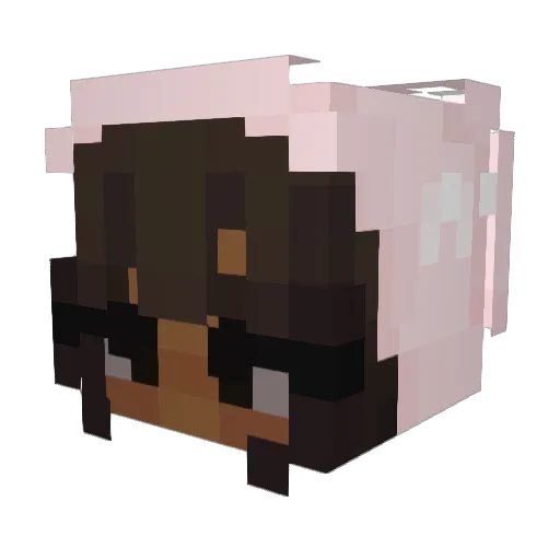 XonePanda Minecraft avatar head, 3D render
