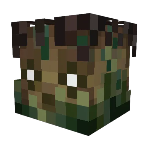 XooWI Minecraft avatar head, 3D render