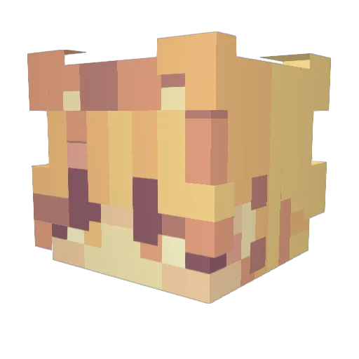 Xooki3_ Minecraft avatar head, 3D render