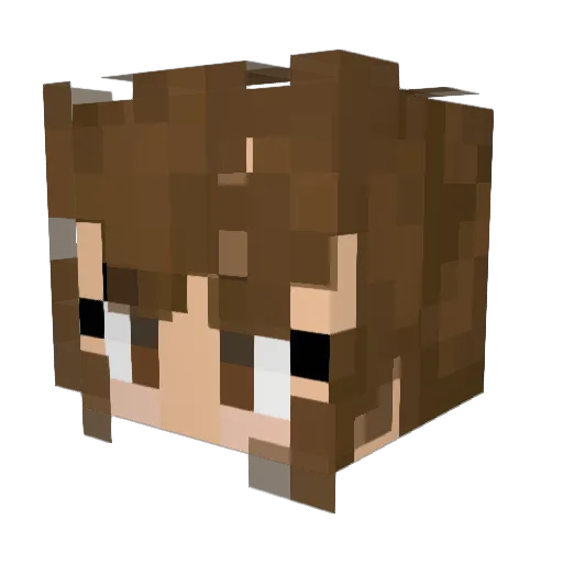 XopyHasPants Minecraft avatar head, 3D render