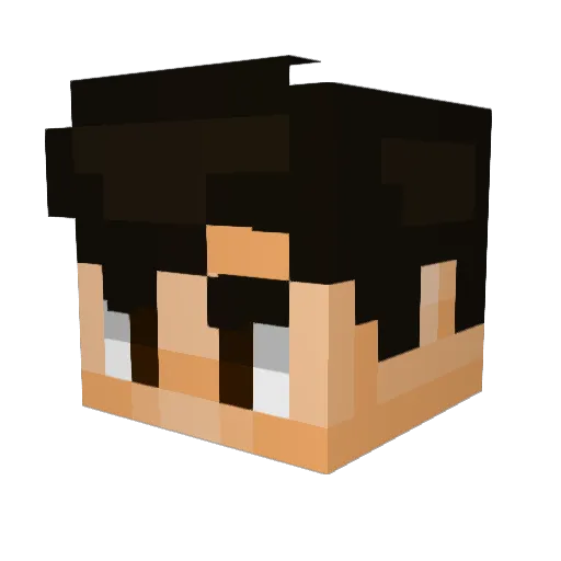 Xorar320 Minecraft avatar head, 3D render