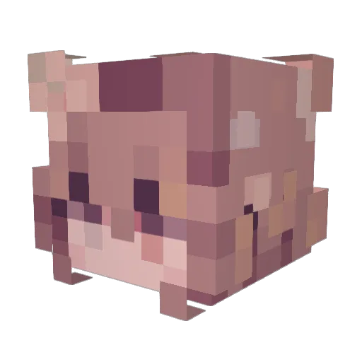 Xorvix_ Minecraft avatar head, 3D render