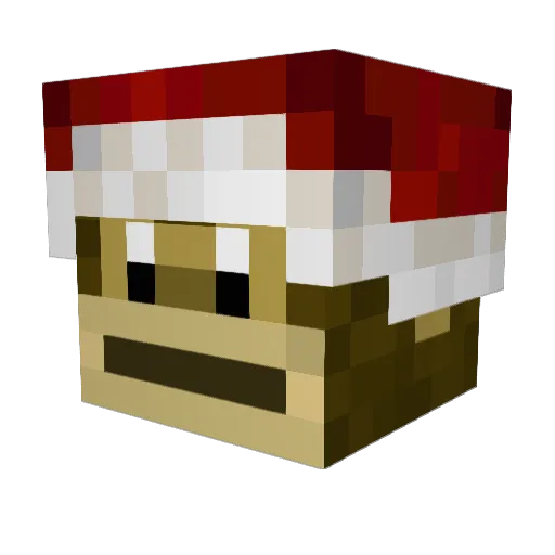 Xoti1ic1 Minecraft avatar head, 3D render