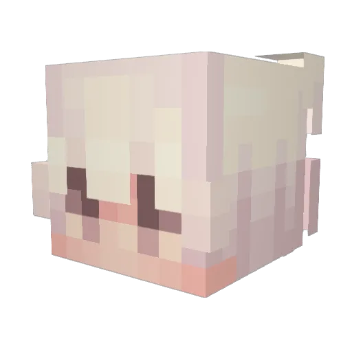 XoticAmaya Minecraft avatar head, 3D render