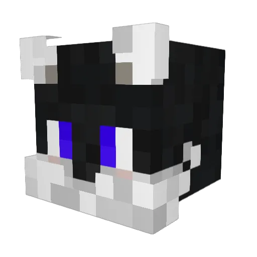 Xotic_ducky Minecraft avatar head, 3D render