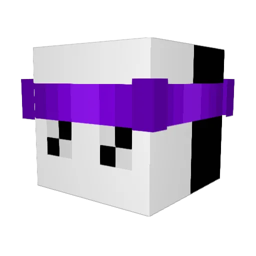 Xoticfv Minecraft avatar head, 3D render