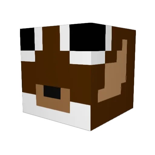 Xoup_ Minecraft avatar head, 3D render