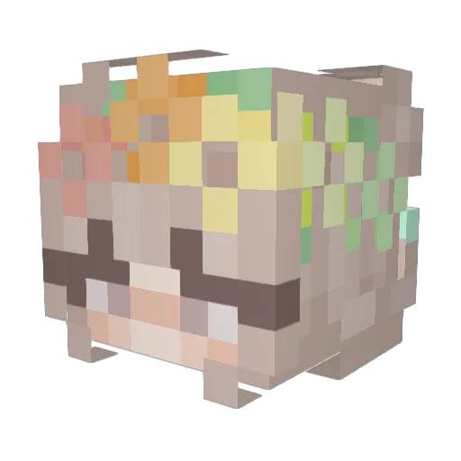 Xovitae Minecraft avatar head, 3D render