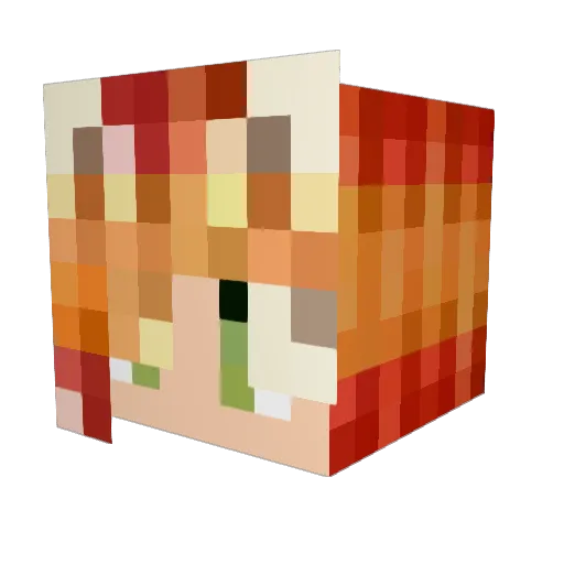 Xoxbit Minecraft avatar head, 3D render