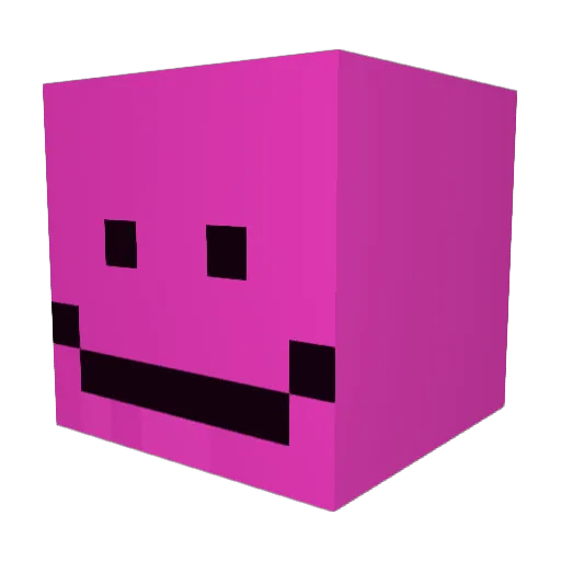 Xoxo_Tyler Minecraft avatar head, 3D render