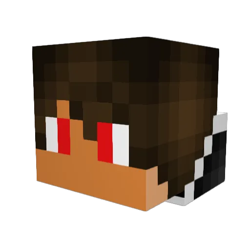 XpertToast Minecraft avatar head, 3D render