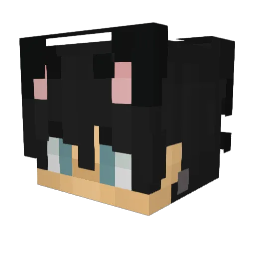 Xploder1212 Minecraft avatar head, 3D render