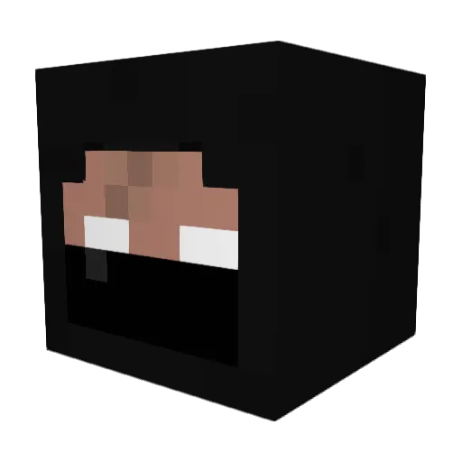 XplodingTNT123 Minecraft avatar head, 3D render