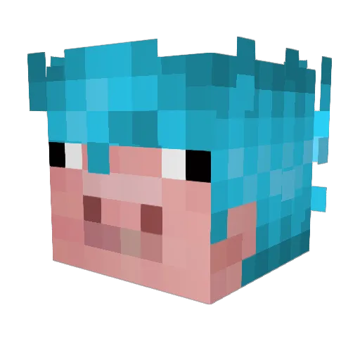 XplosiveBoi8458 Minecraft avatar head, 3D render