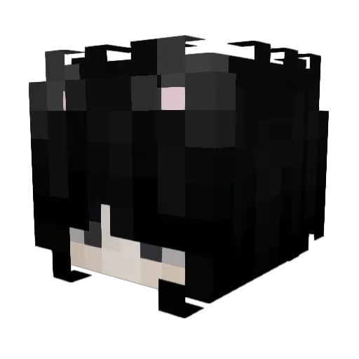XponnX Minecraft avatar head, 3D render