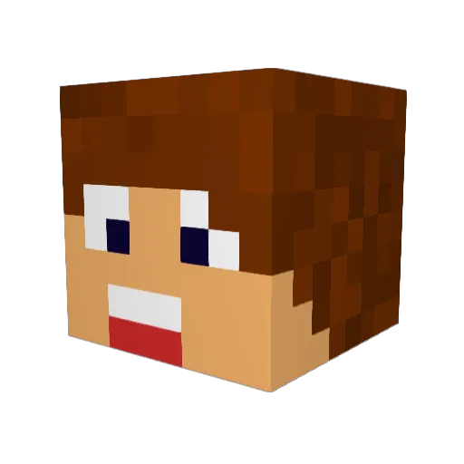 Xposed Minecraft avatar head, 3D render