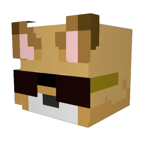 Xpower12pro Minecraft avatar head, 3D render