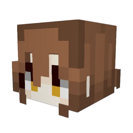 Xpoze_352 Minecraft avatar head, 3D render