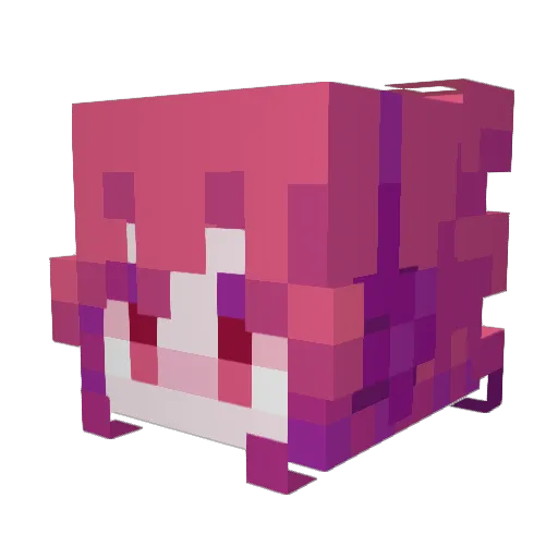 Xpres_7762 Minecraft avatar head, 3D render