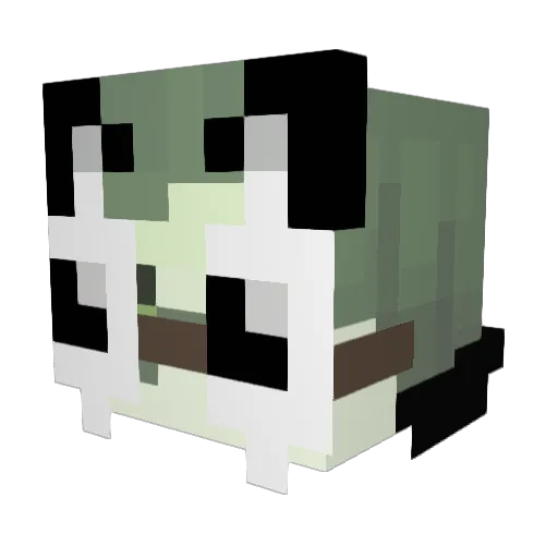 XproMasterX1 Minecraft avatar head, 3D render