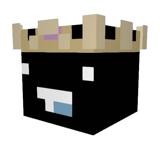 Xqst5 Minecraft avatar head, 3D render