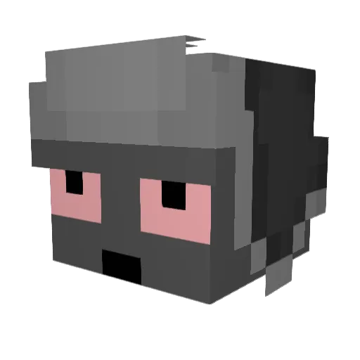 Xr___DID Minecraft avatar head, 3D render