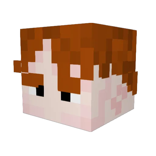 Xra_ShadowSP Minecraft avatar head, 3D render