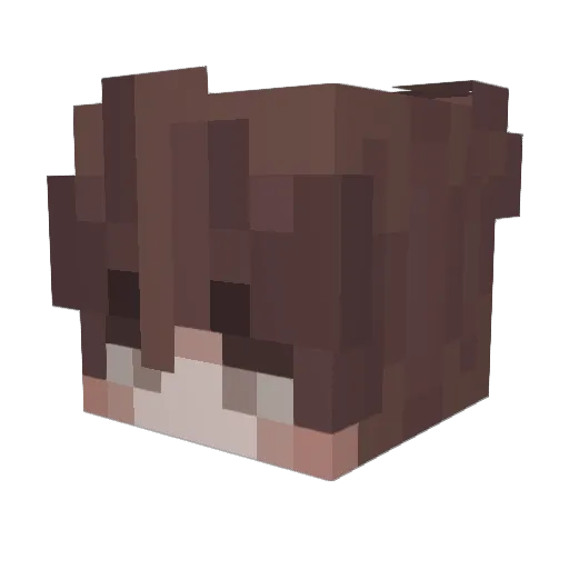 Xrac_ Minecraft avatar head, 3D render