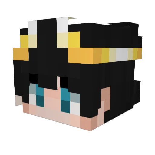 Xraptor121 Minecraft avatar head, 3D render