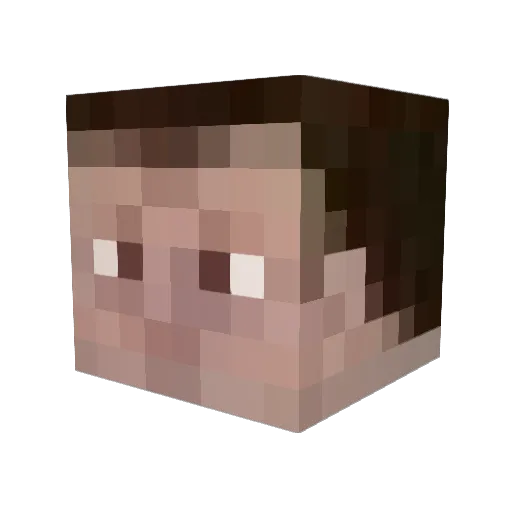 XrayCam Minecraft avatar head, 3D render
