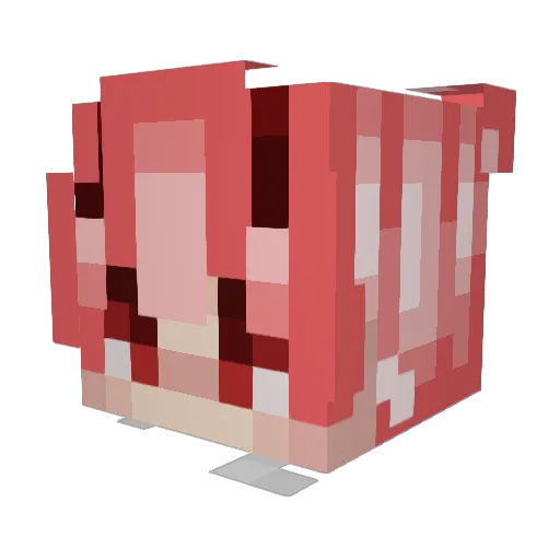 Xrene_skywolfX Minecraft avatar head, 3D render