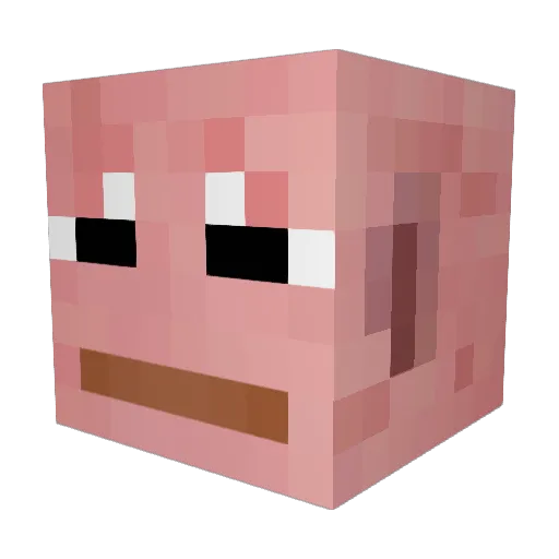 Xrn10 Minecraft avatar head, 3D render
