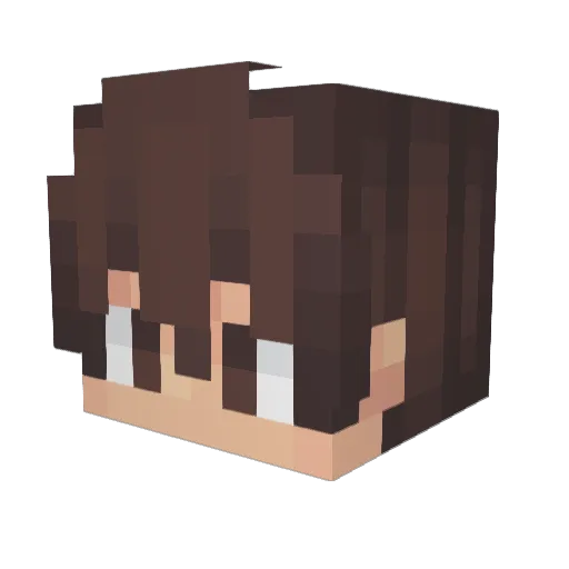 Xryphon Minecraft avatar head, 3D render