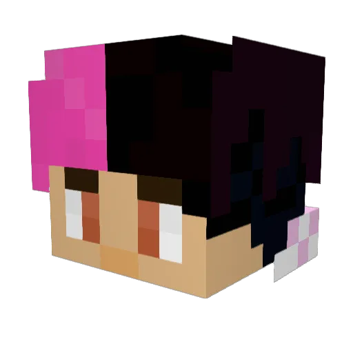 Xsandro15wX Minecraft avatar head, 3D render