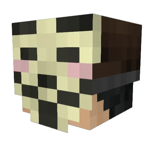 XseanboyX Minecraft avatar head, 3D render