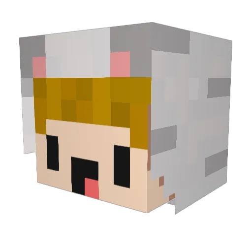 XselinaX Minecraft avatar head, 3D render