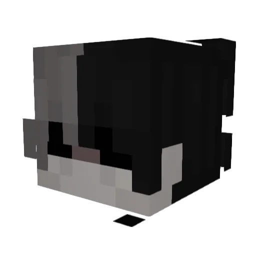 XsmiiidyX Minecraft avatar head, 3D render