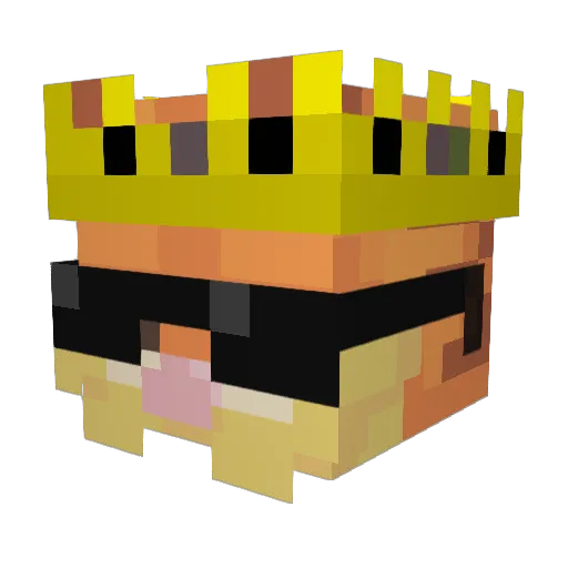 Xsnaax Minecraft avatar head, 3D render