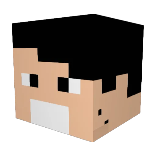 XsquidGaming Minecraft avatar head, 3D render