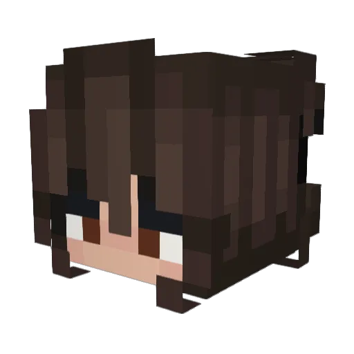 Xteme_ Minecraft avatar head, 3D render
