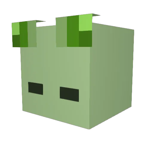 Xtgamer01 Minecraft avatar head, 3D render