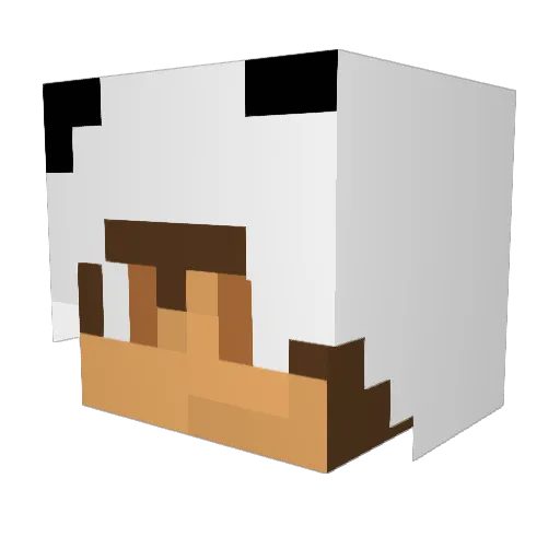 Xtoxic_foreverX Minecraft avatar head, 3D render