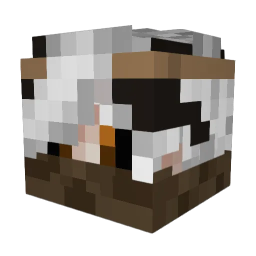 Xtr3 Minecraft avatar head, 3D render