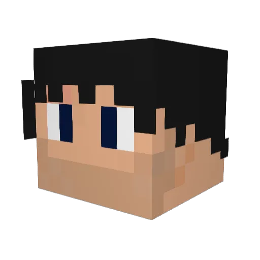 XtraCrit Minecraft avatar head, 3D render