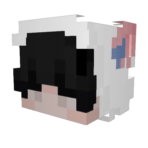 XtraWolf Minecraft avatar head, 3D render