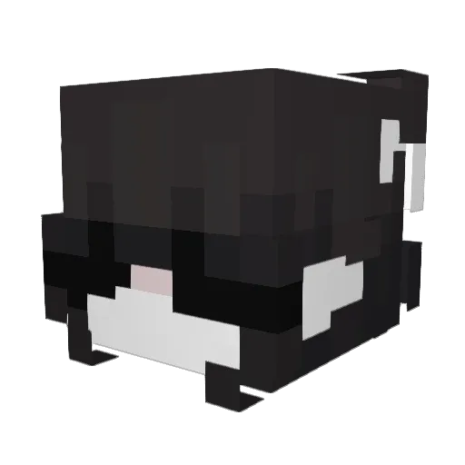 Xtracrispynugget Minecraft avatar head, 3D render