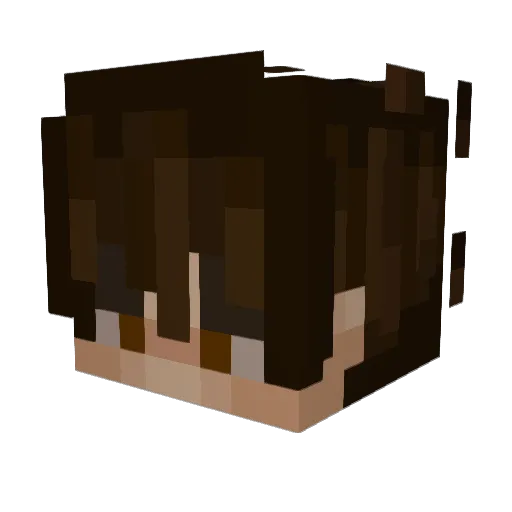 Xtras_x Minecraft avatar head, 3D render