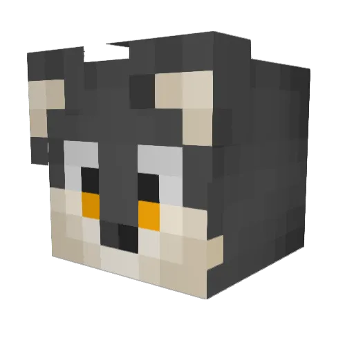 XtremeAmazing Minecraft avatar head, 3D render